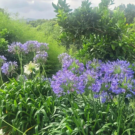 Aldori Landetxea - Reserva De La Biosfera Urdaibai - Adults Only فندق Muxika